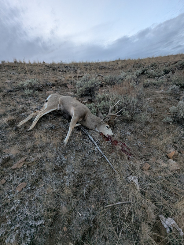 PXL 20251123 235232095