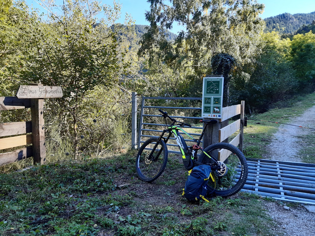 Photo de FRISERANDO(1)