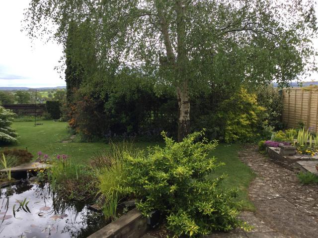 79FC755E-1335-4062-9A80-6FE960AF50CD