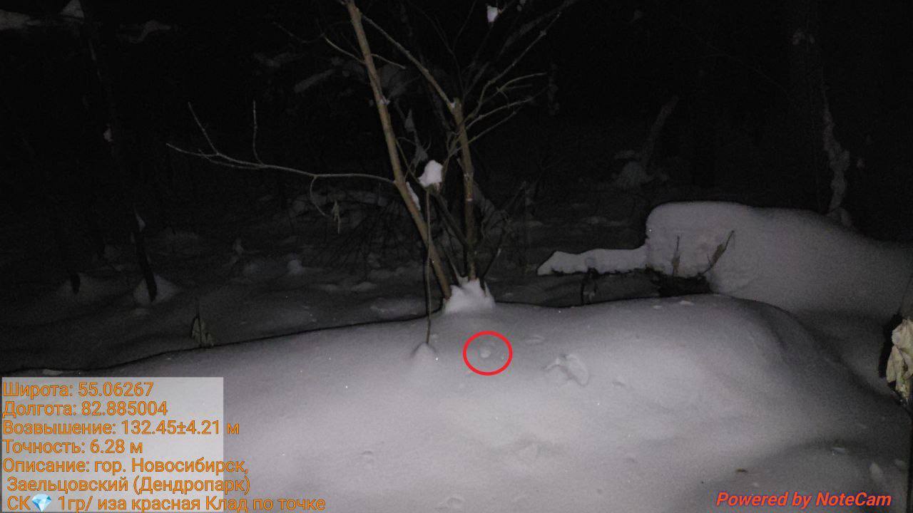 photo 2025 12 11 09 09 52