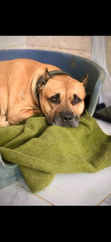 WhatsApp Image 2022-08-27 at 10.28.05 (1)