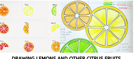 Drawing Lemons and other Citrus Fruits for Bullet Journaling