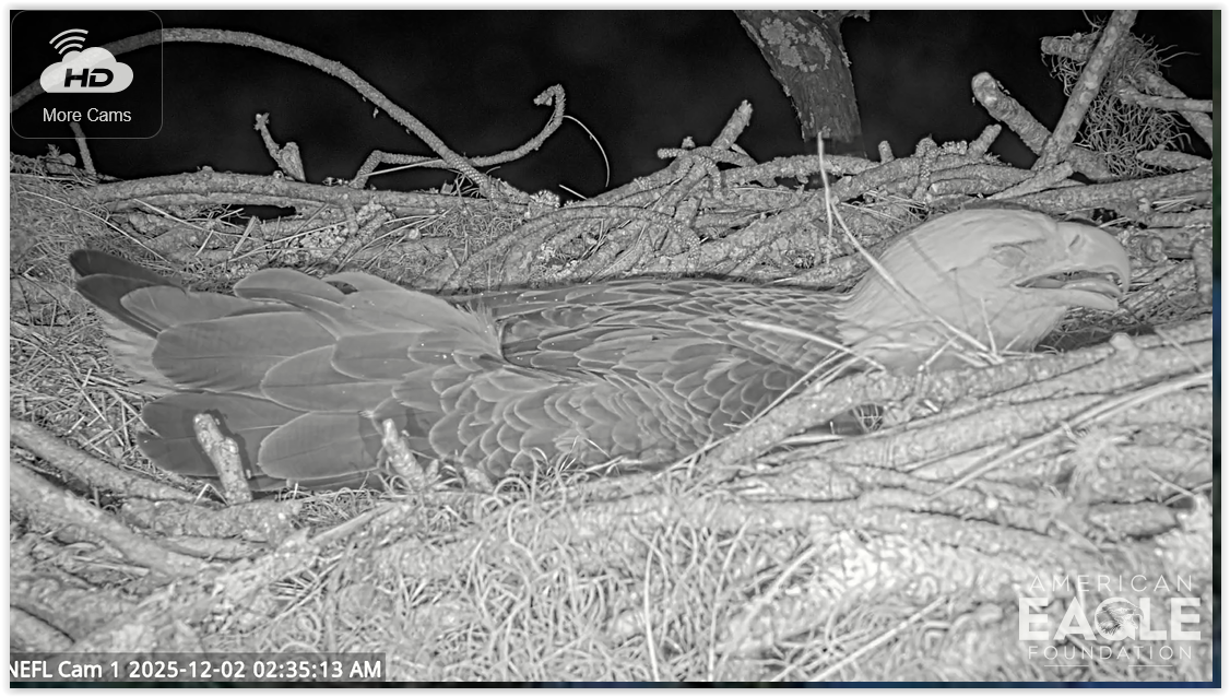 Screen Shot 12 02 25 at 08 36 AM