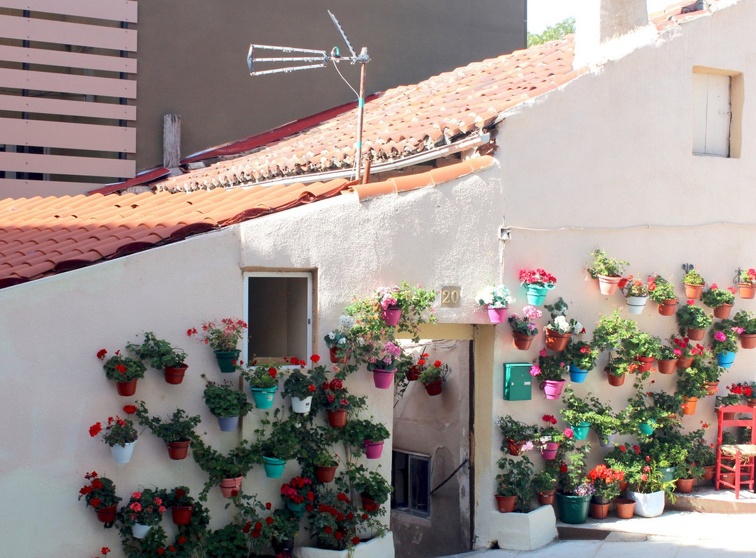 multi-flower-pots.jpg