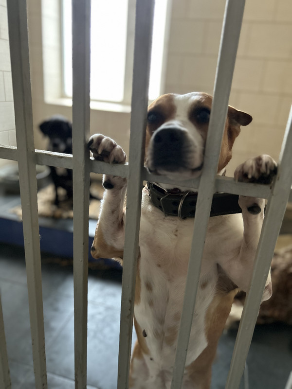 3F1EA89E-72E6-4E63-A517-2EEF2F3621FA