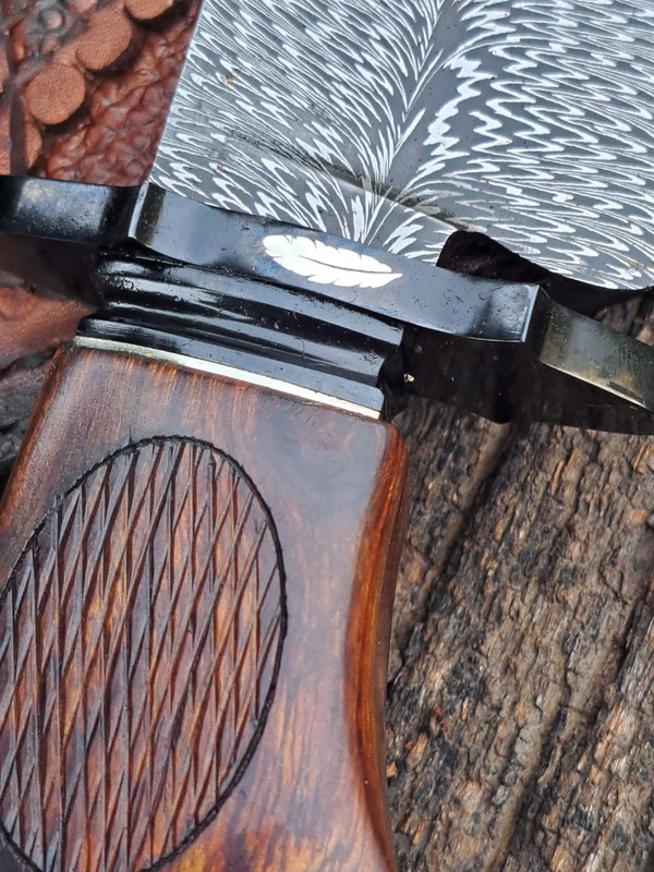 WhatsApp Image 2024-11-07 at 11.54.45 (1)