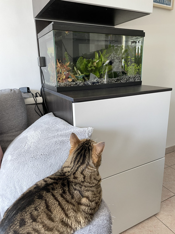 4667212B-A5AE-48E6-92BD-686E6F4F45B1