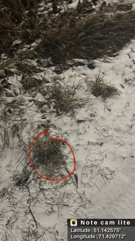 IMG 20251206 212806 314