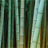 Asia-11