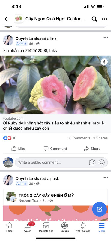 F63D1E34-479C-4A37-B3BF-85076389B026