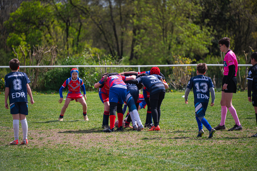 tournoi-de-latlantique-2026-adonis-griffon-31-55181549834-l