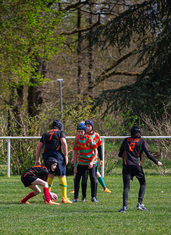 tournoi-de-latlantique-2026-adonis-griffon-21-55181459113-l