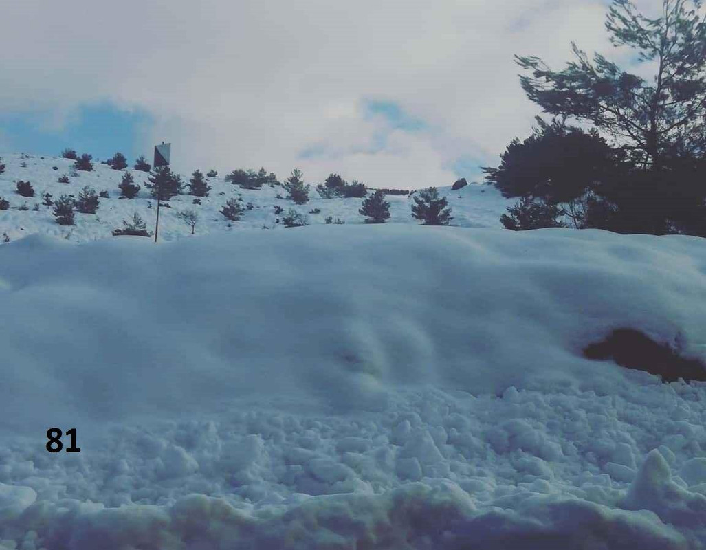 81 IMG-20200126-WA0019 ew