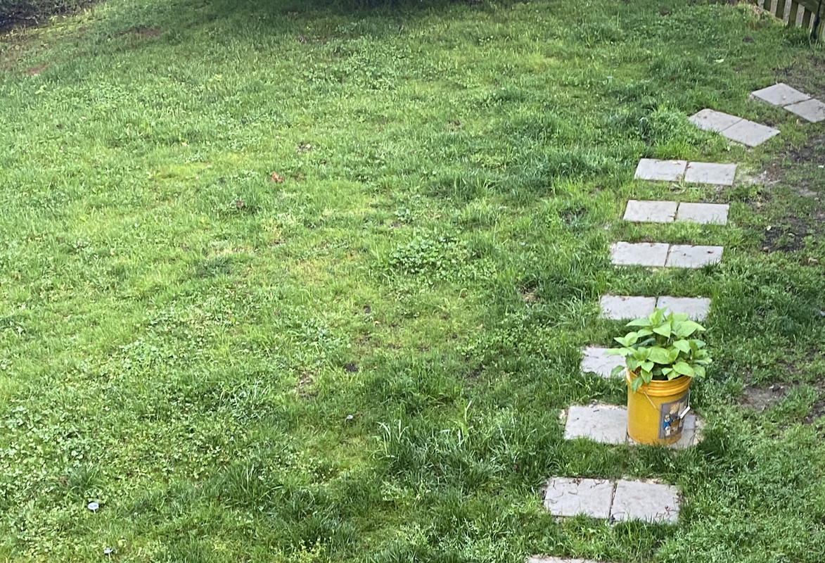 0F0CC198-E750-4A66-B862-8A2ACD528E35