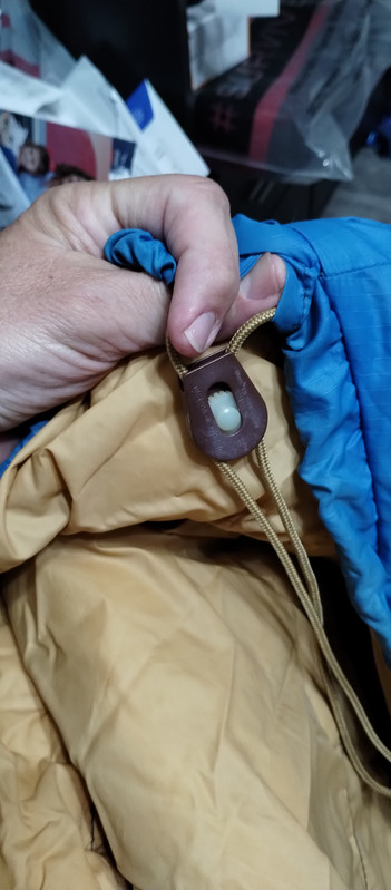 IMG 20241017 155032866