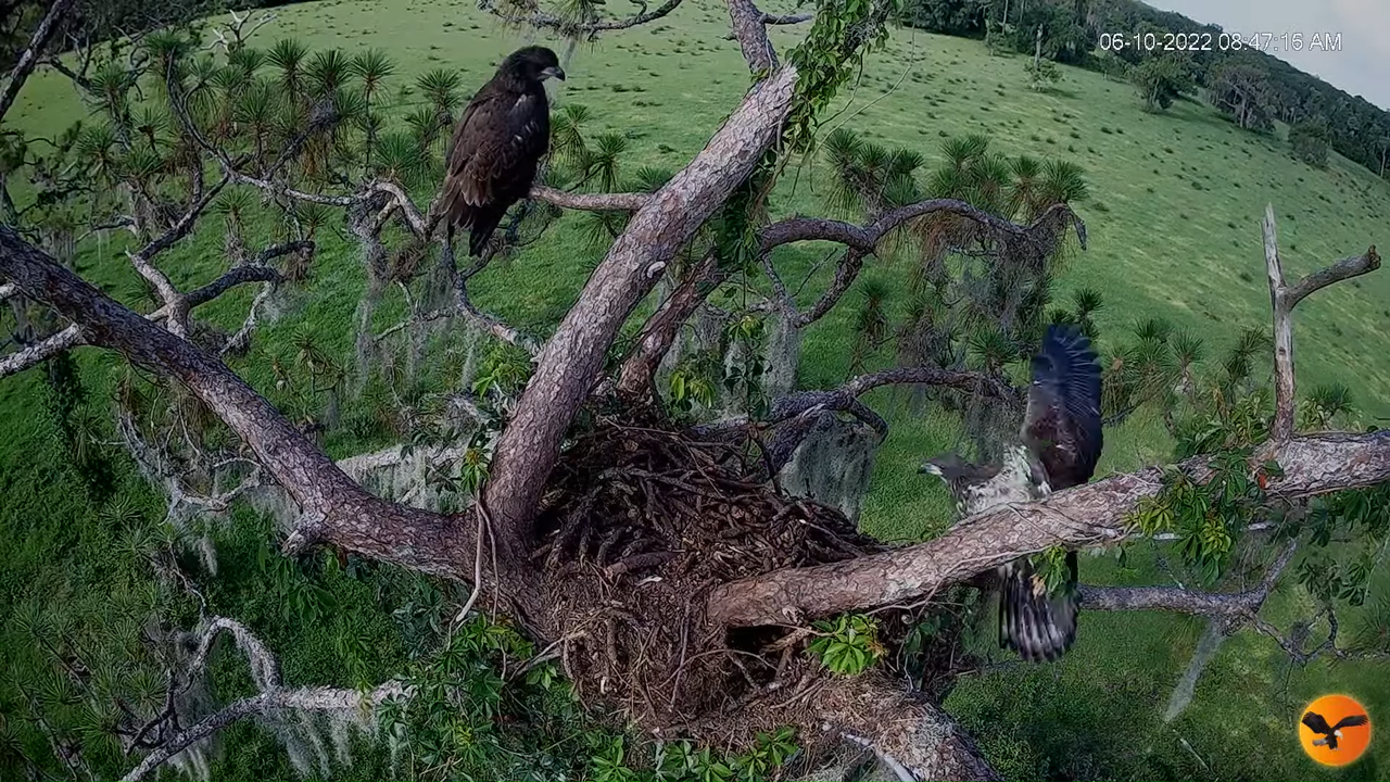 EC 4K Overhead Cam 9-25-35 screenshot