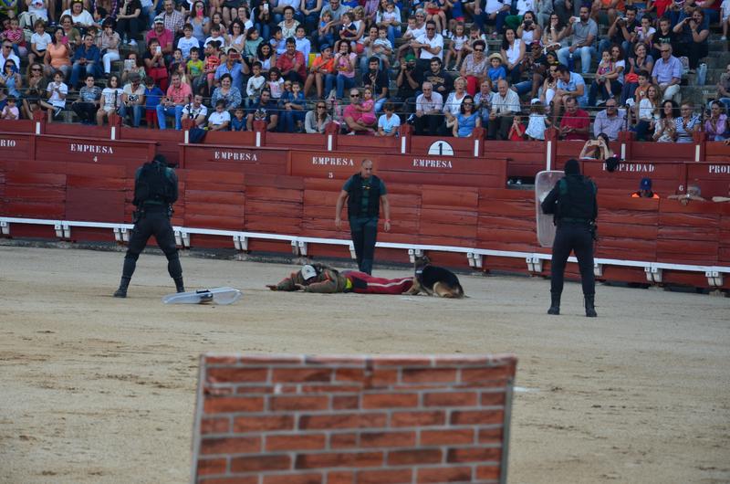 Exhibición Guardia Civil-30-9-2016 - Toledo y sus pueblos-1996/2026 (40)