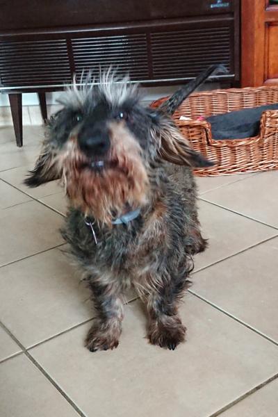 [Image: DSC-2025-11-22.jpg]