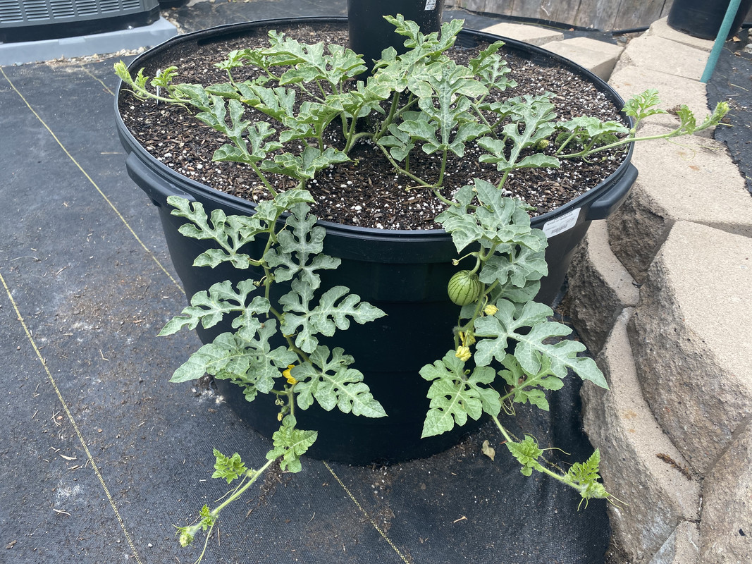 430CC8D0-9C94-4068-A993-46EF9C36AE6F