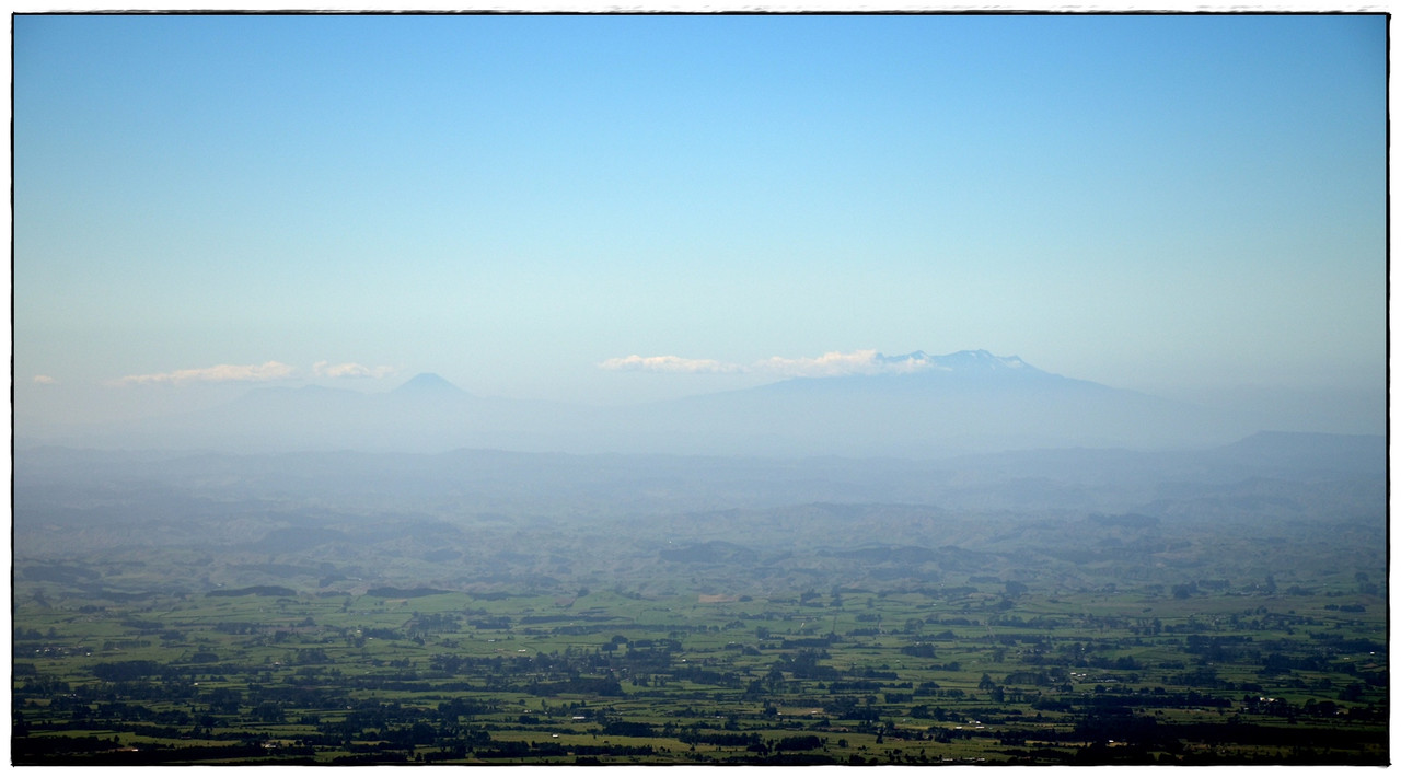 Escapadas y rutas por la Nueva Zelanda menos conocida - Blogs de Nueva Zelanda - Egmont / Taranaki NP: Pouakai Circuit (marzo 2021) (12)