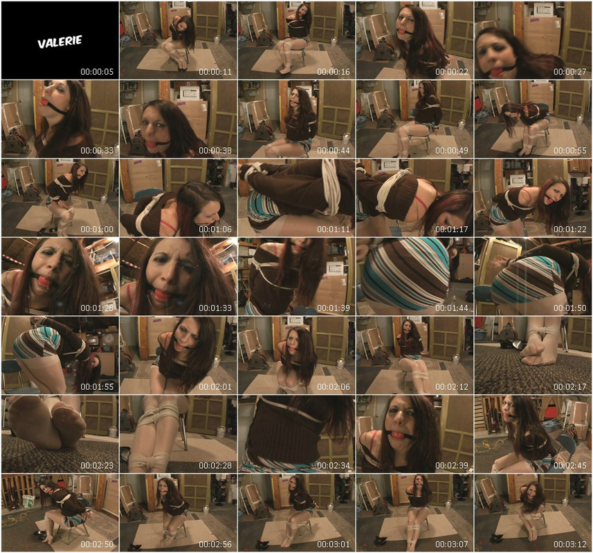 0678BD.wmv