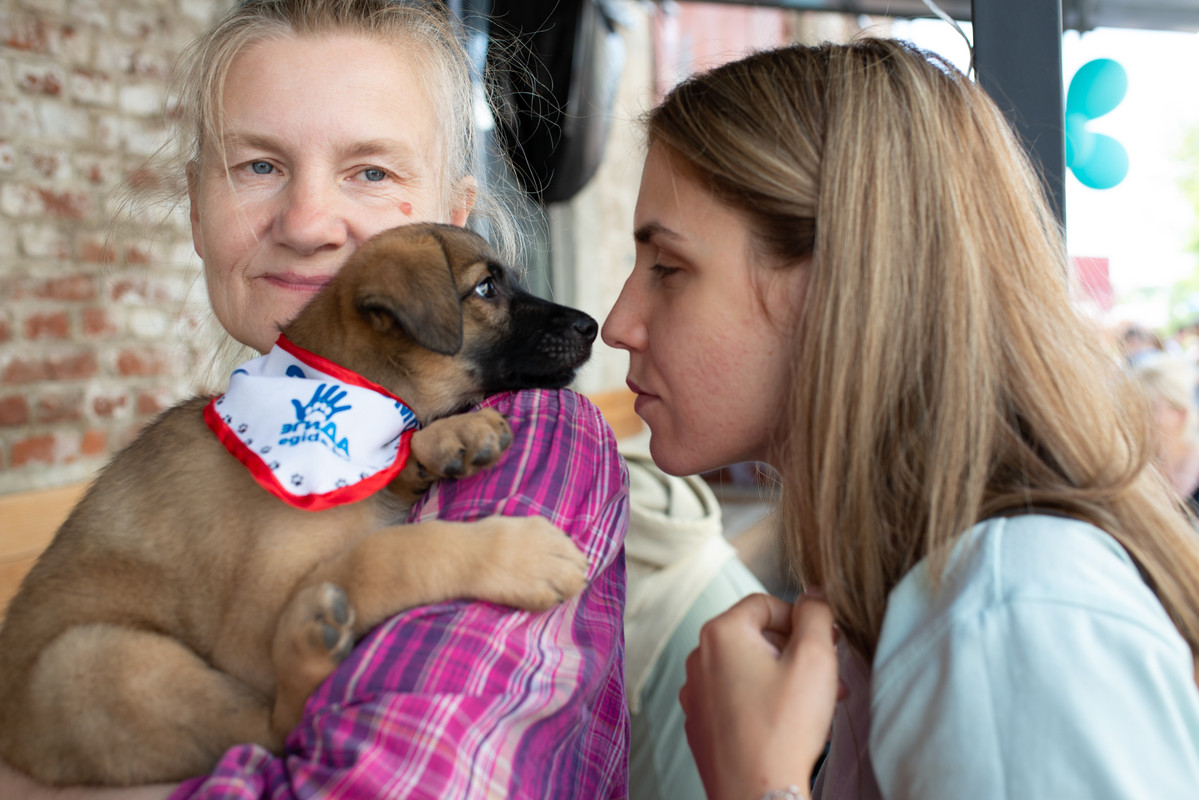 B455BBA9-2CEB-47F1-A811-A453E786A1C4