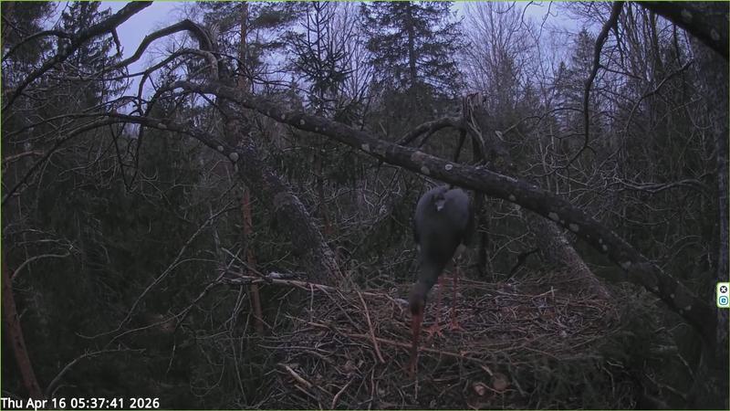 2026 04 16 p 05 37 41