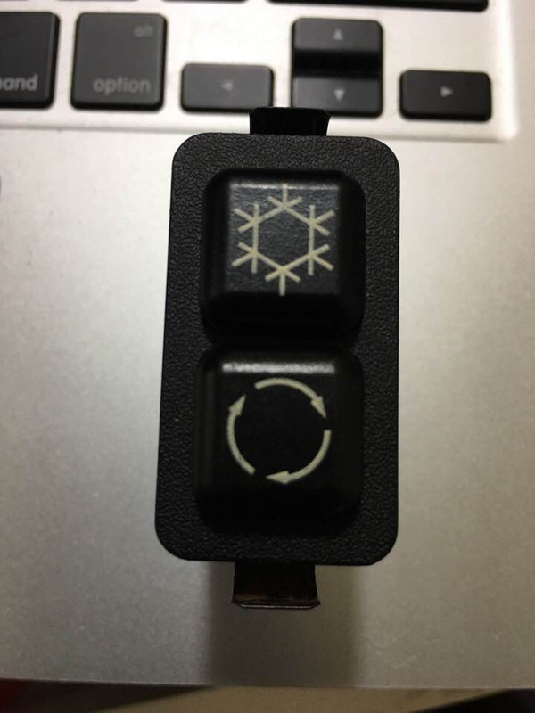 37806695_10155636728441723_6945726870918791168_n