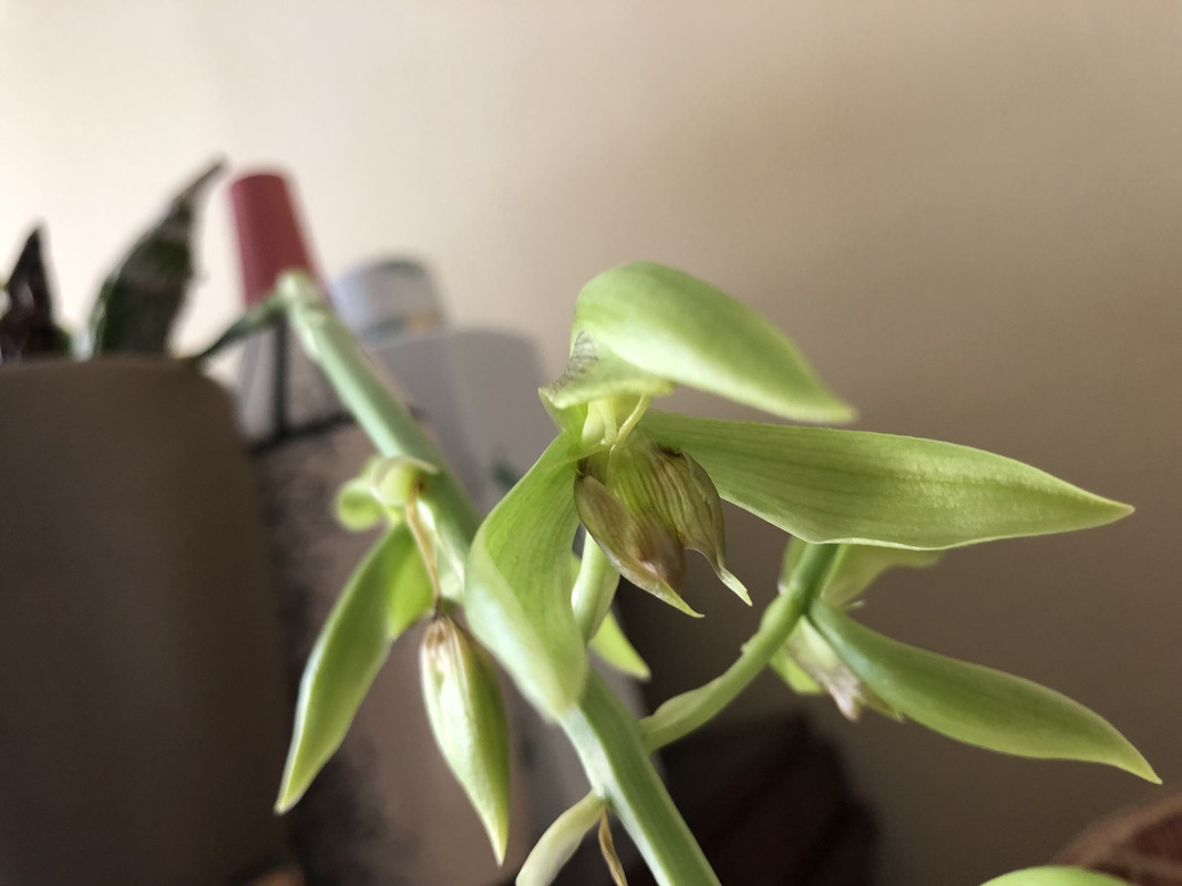 613C1930-AC97-497B-A9C3-D3151B2C2451