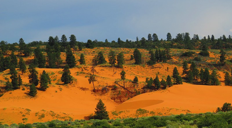orangecoralsandunes.jpg