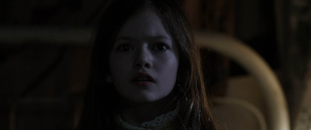 The Conjuring 2013 BluRay [Hindi + Tamil + English] 480p, 720p, 1080p ESub Screenshot