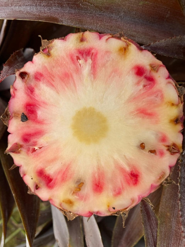 935DD76A-80AB-4E74-B698-BF367B9ABE2E