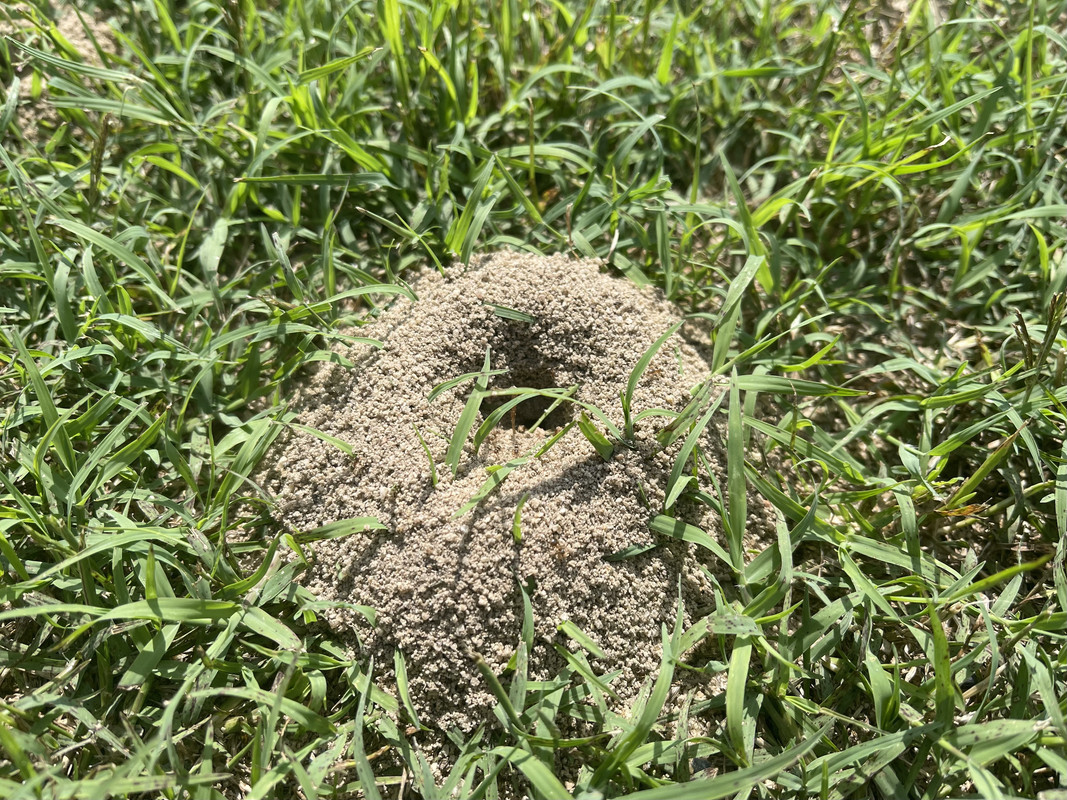 F1DC2F52-7CC0-4CF7-A3AF-44DB70C8C533