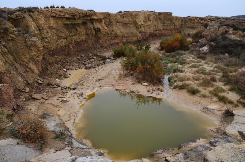 Navarra y sus pueblos-2015 - Blogs de España - Las Bárdenas Reales-15-11-2015 (30)
