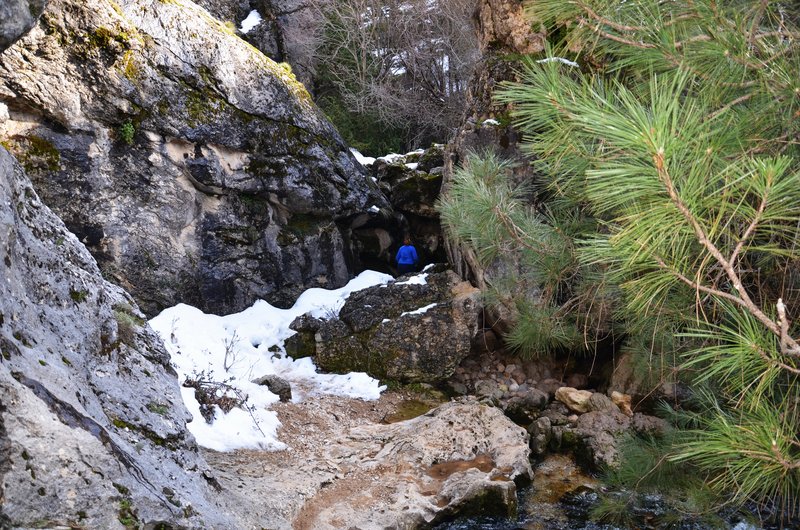 RUTA RIO BOROSA-12-3-2016-JAEN - Paseando por España-1991/2016 (159)
