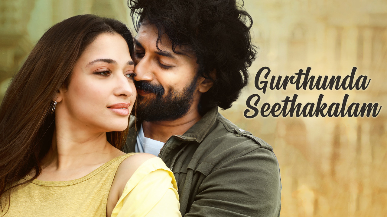 Gurtunda Seetakalam (2022) [Hindi-Telugu]