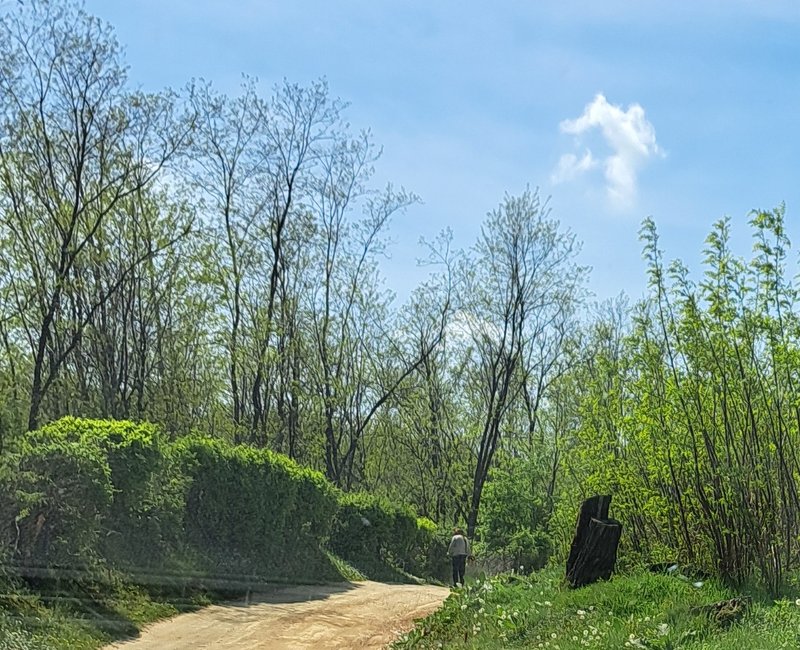 Slika