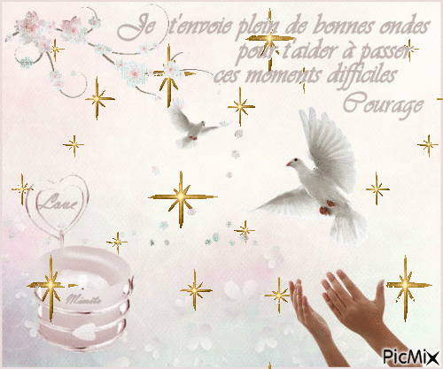 [Image: IMG-0405.gif]