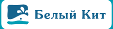 Открыть в полный размер