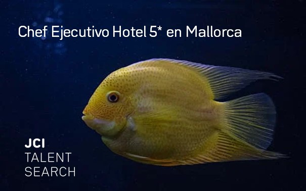 Chef Ejecutivo Hotel 5*  Mallorca