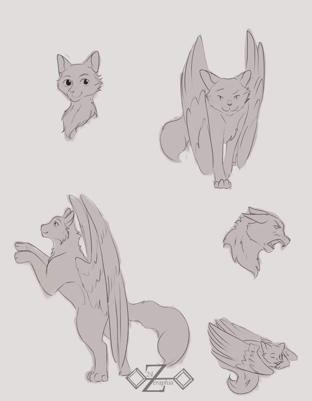 Sketches.png