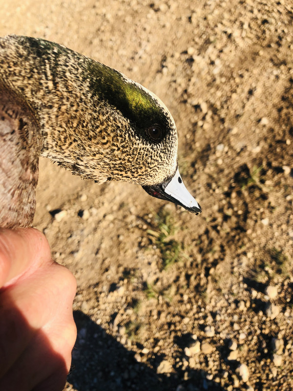 2461EFD1-9C23-4889-8616-16703E69E7FA