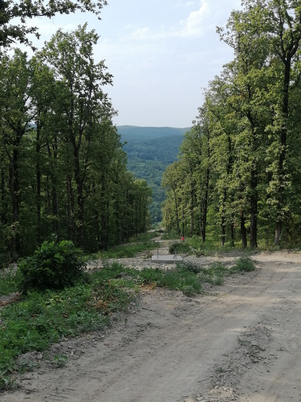 IMG_20200707_162534