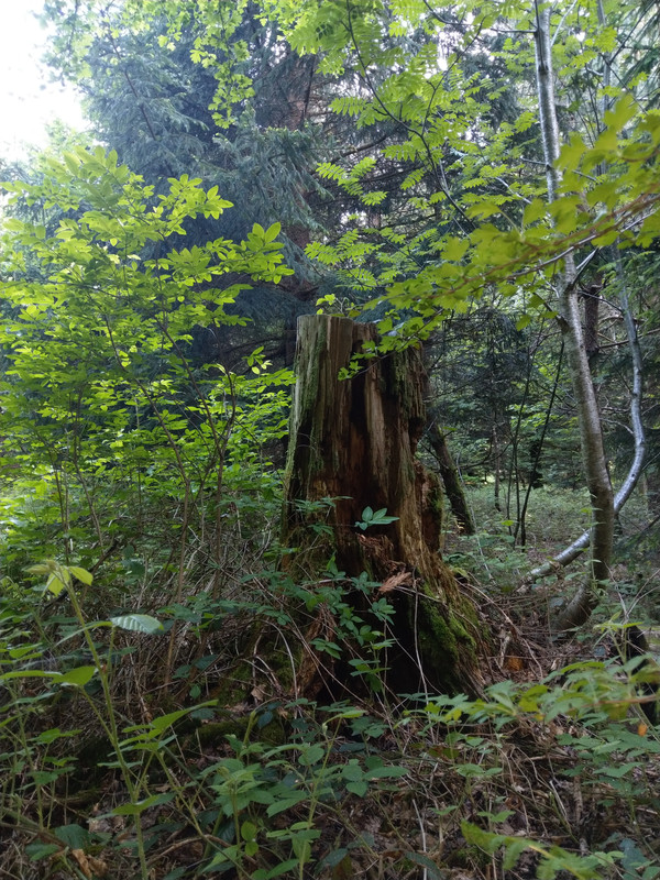 6D69BCA6-020C-46F0-8E24-2FCBF7166E38