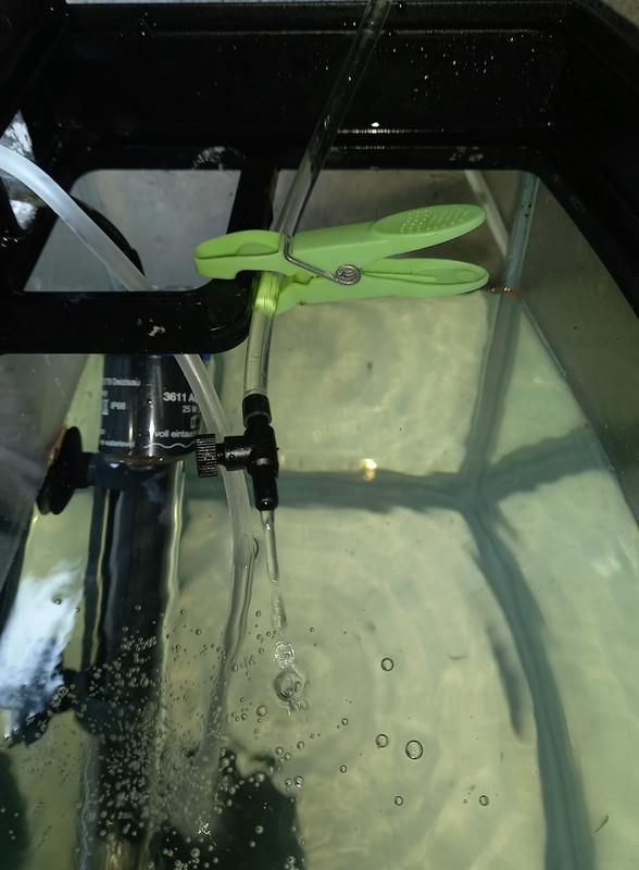 Water change 2
