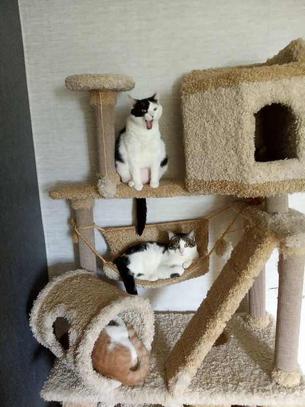 изображение_viber_2021-06-11_14-22-41-212