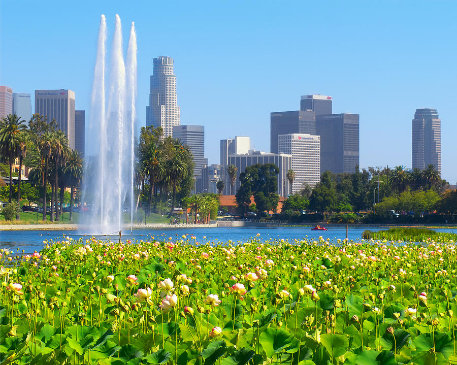 blooming-lotus-echo-park-and-downtown-los-angeles-skyline-ram-vasudev