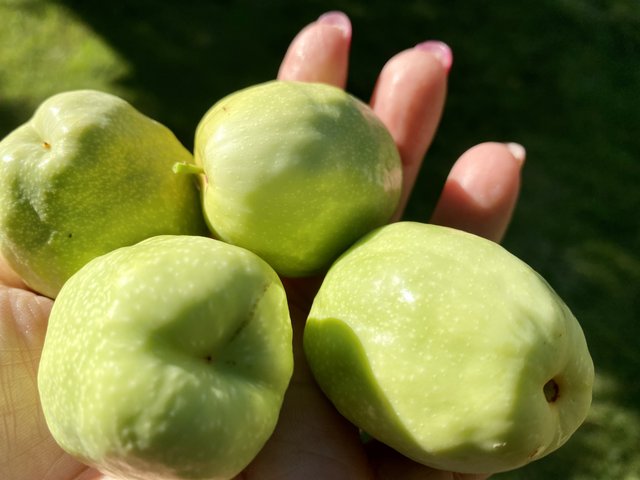 [Image: 002-AA058-AD76-45-FD-8889-92-BA555171-BE.jpg]