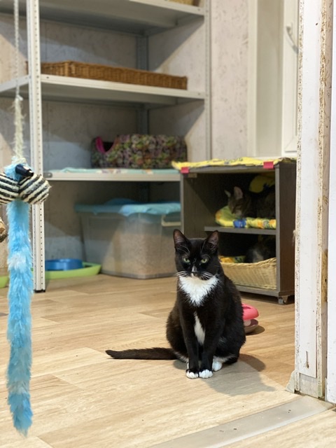 C1032E6D-6F2C-4FDA-8D59-B499A8EC76E5