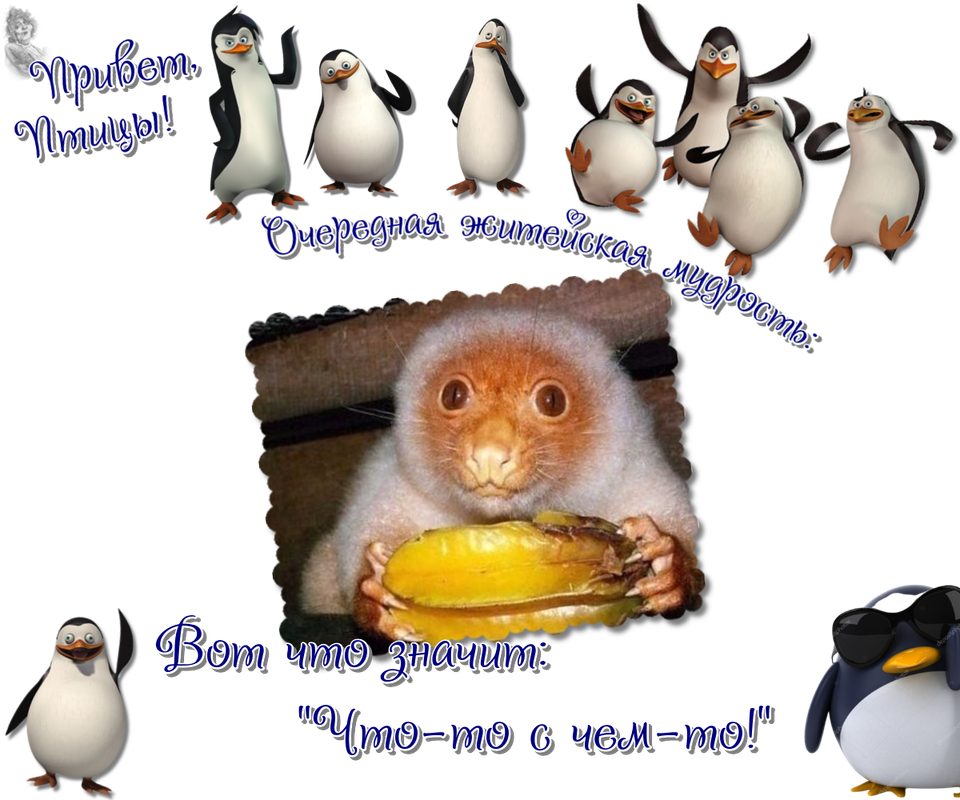 https://i.postimg.cc/N0nk4dfk/09-04.png